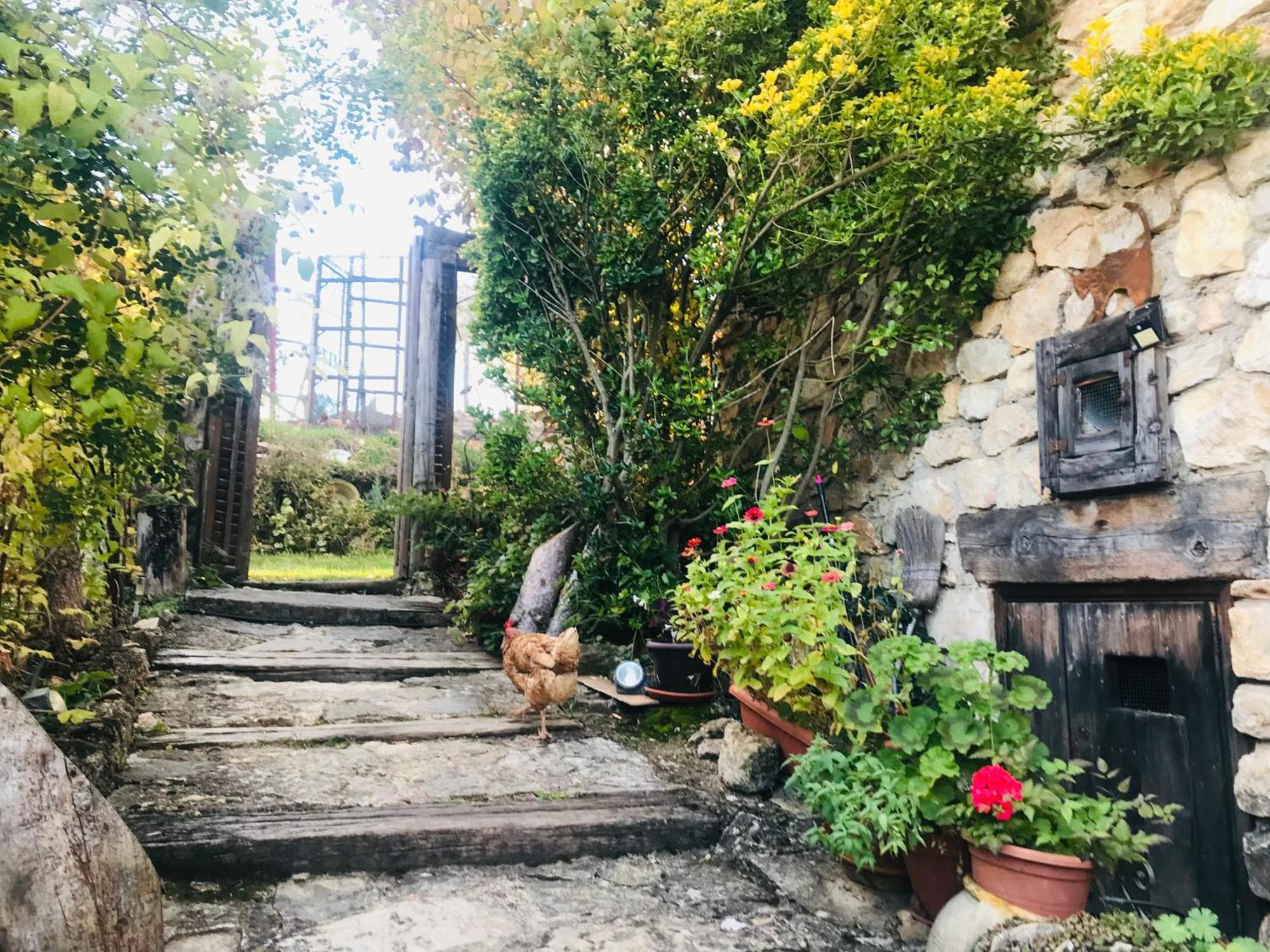 Casas Rurales Chon Alto Tajo Peralejos de las Truchas Dış mekan fotoğraf