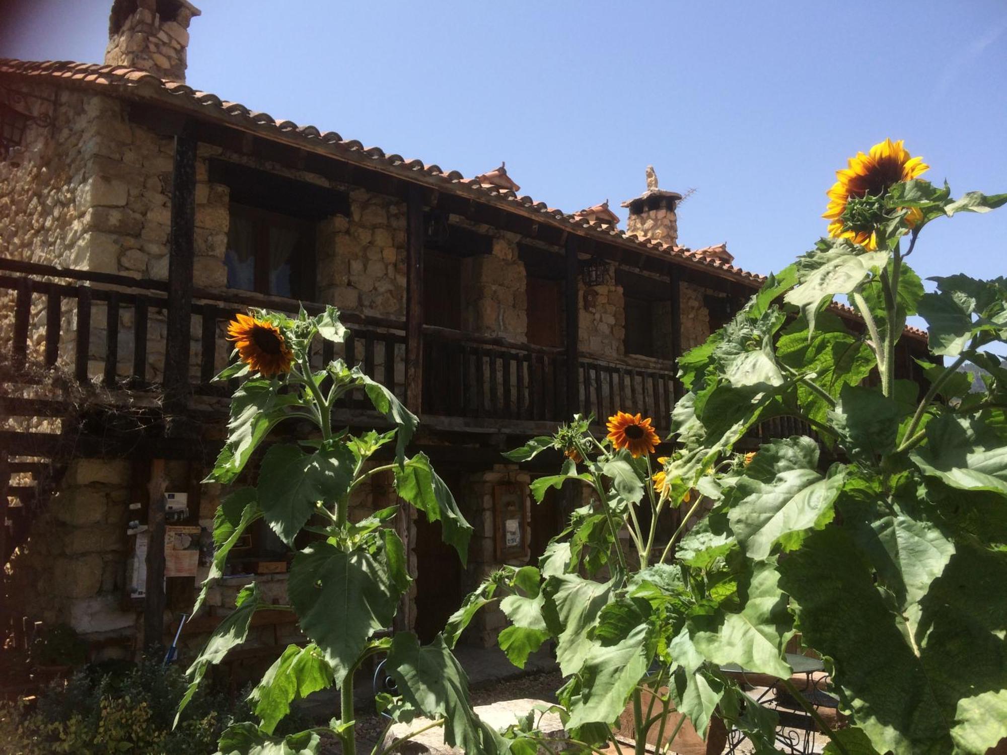 Casas Rurales Chon Alto Tajo Peralejos de las Truchas Dış mekan fotoğraf
