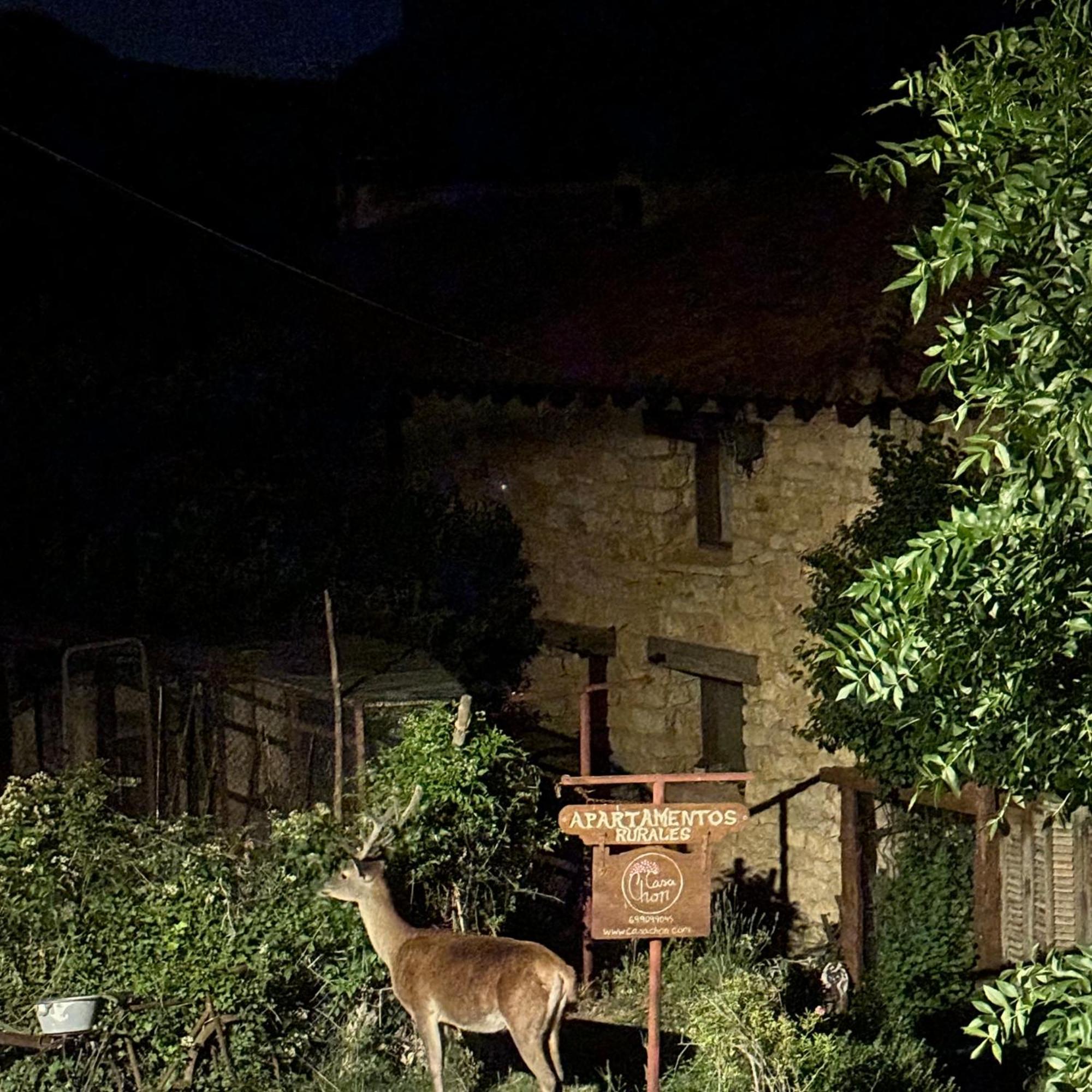 Casas Rurales Chon Alto Tajo Peralejos de las Truchas Dış mekan fotoğraf